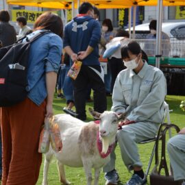 【動物科学科】移動動物園を開催しました。