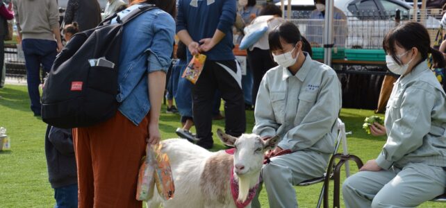 【動物科学科】移動動物園を開催しました。