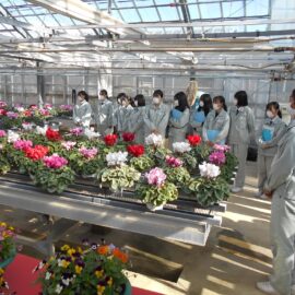 【植物科学科２年】県内視察研修を行いました！