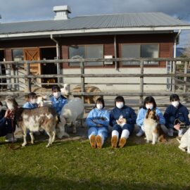 【動物科学科】３年生最後の総合実習