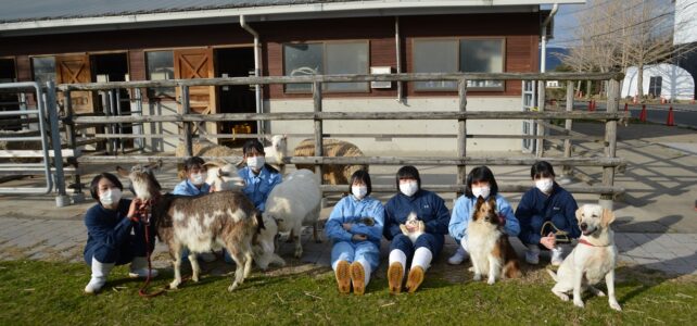 【動物科学科】３年生最後の総合実習