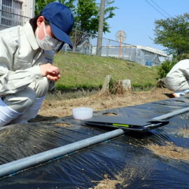 【植物科学科】農業と環境が始まりました【トウモロコシ播種】