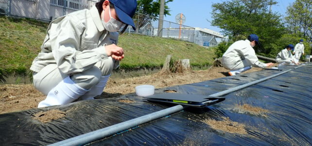 【植物科学科】農業と環境が始まりました【トウモロコシ播種】