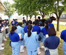 【動物科学科】家畜審査競技の勉強会を始めました！