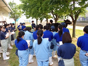 【動物科学科】家畜審査競技の勉強会を始めました！