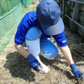 【いすこにリバイバルＰＪ】１学期の活動内容について