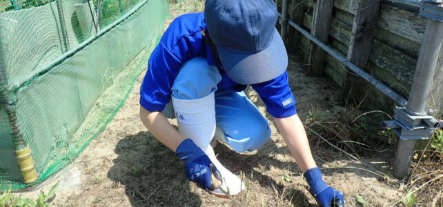 【いすこにリバイバルＰＪ】１学期の活動内容について