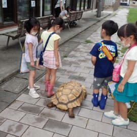 【動物科学科】ふれあい動物広場に来校されました