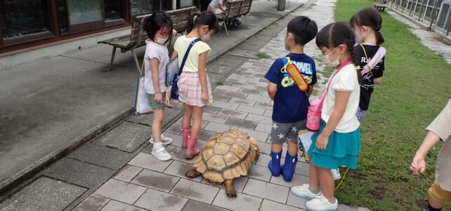 【動物科学科】ふれあい動物広場に来校されました