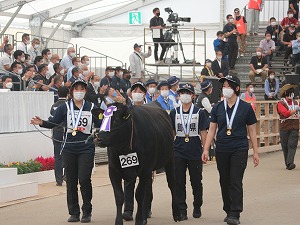 【動物科学科】第１２回全国和牛能力共進会に参加しました！