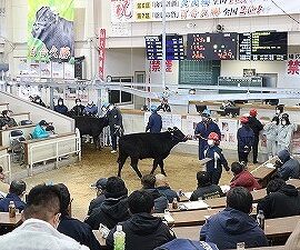 【動物科学科】市場見学に行きました。