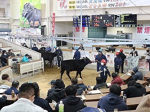 【動物科学科】市場見学に行きました。