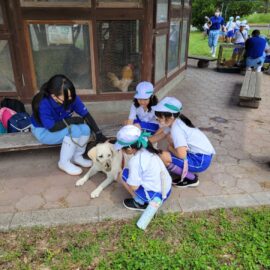 【動物科学科】ふれあい動物園を実施しました！