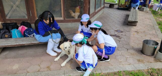 【動物科学科】ふれあい動物園を実施しました！