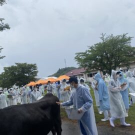 【動物科学科】農業クラブ家畜審査競技県大会が開催されました！