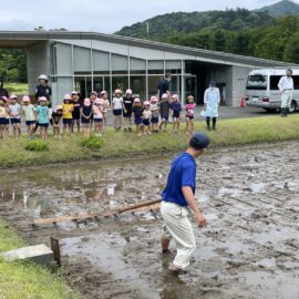 【植物科学科】たいしゃ保育園の園児と古代米の田植えをしました！