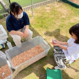 【動物科学科】第三回移動動物園を開催しました！