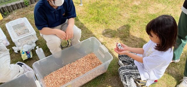 【動物科学科】第三回移動動物園を開催しました！