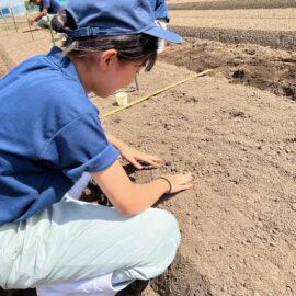 【動物科学科】ダイコンの播種とハクサイの定植をしました。