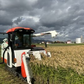 【植物科学科】コンバインでの稲刈り実習をしました！