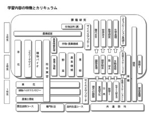 学習内容の特徴（植物科学科）
