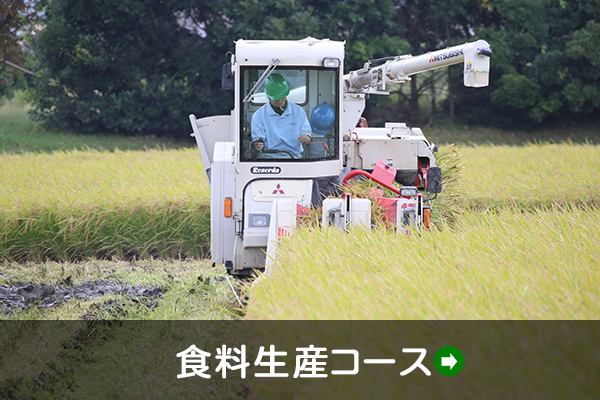 食料生産コース