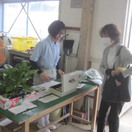 【植物科学科】野菜苗の販売実習