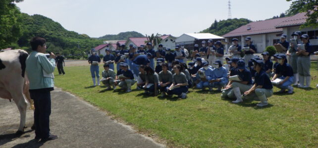 【動物科学科】乳用牛審査研修会に参加しました。