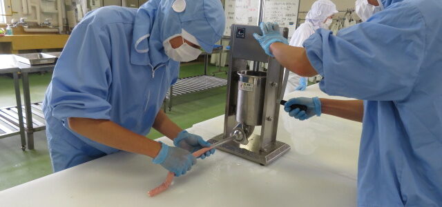 【動物科学科　畜産加工】ソーセージ作りました！