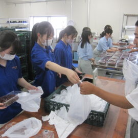【植物科学科】果樹　デラウェアの販売を行いました