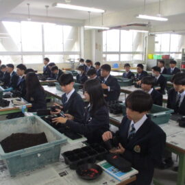 【環境科学科】1年生がスイートコーンの播種を行いました