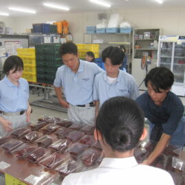 【植物科学科】果樹　デラウェアの販売をしました