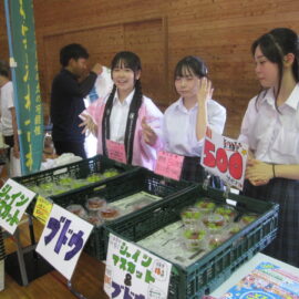 【植物科学科】果樹　ぶどうの販売をしました（２）
