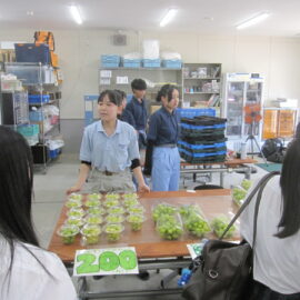 【植物科学科】果樹　ぶどうの販売をしました（４）