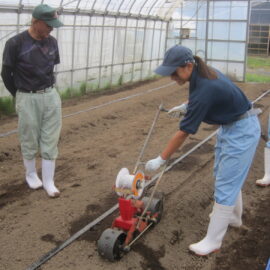 【植物科学科】タマネギの種まき実習をしました