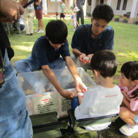 【動物科学科】移動動物園を開催しました！②