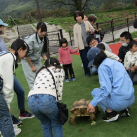 【動物科学科】移動動物園を開催しました!③ 【動物科学科】移動動物園を開催しました!③