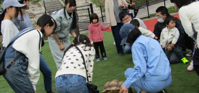 【動物科学科】移動動物園を開催しました！③