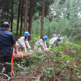【環境科学科】林業体験に出かけました