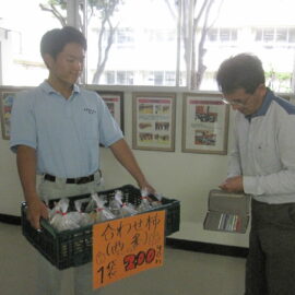 【植物科学科】果樹 柿の販売をおこないました 【植物科学科】果樹 柿の販売をおこないました