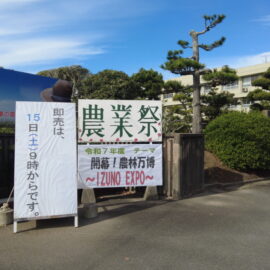 農業祭の準備をしてます！