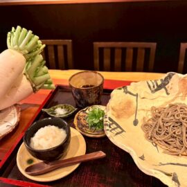 【植物科学科】出雲おろち大根が大阪デビュー！