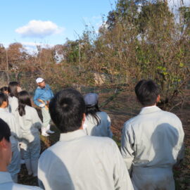 【植物科学科】果樹 梅の剪定を行いました 【植物科学科】果樹 梅の剪定を行いました