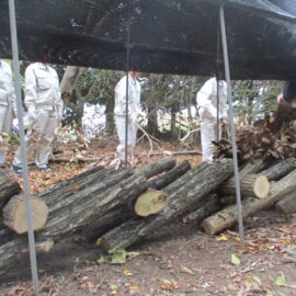 【環境科学科】１年生がシイタケの植菌体験を行いました