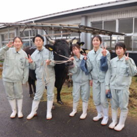 【動物科学科】第9回和牛甲子園出場＆販売実習を行いました！