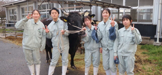 【動物科学科】第9回和牛甲子園出場＆販売実習を行いました！