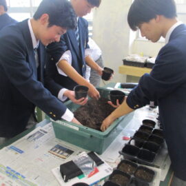 【環境科学科】１年生がスイートコーンの播種を行いました