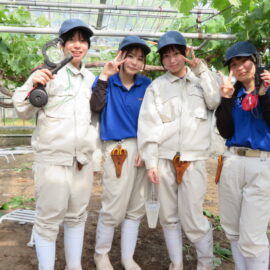 【植物科学科】果樹　デラウェアの苗木を定植しました