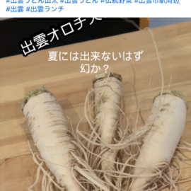 【植物科学科】出雲おろち大根がついに！
