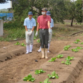 【植物科学科】1年　農業と環境